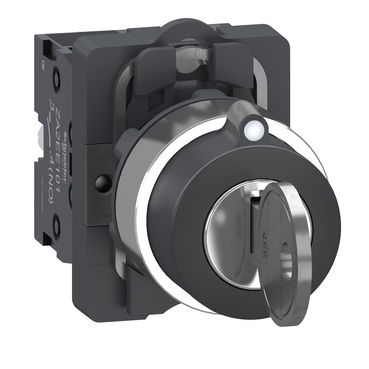 XA2AG33 Schneider Electric 图片