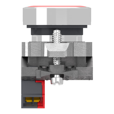Afbeelding product XB4BA425 Schneider Electric