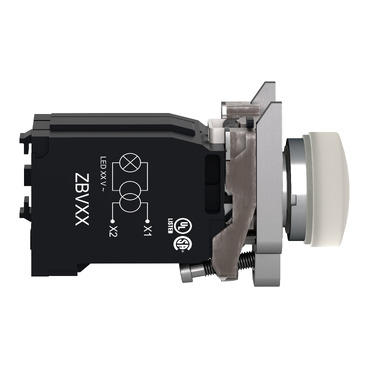 Afbeelding product XB4BV41 Schneider Electric