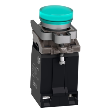 Immagine prodotto XB4BV43 Schneider Electric