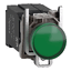 Schneider Electric XB4BV5B3 Picture