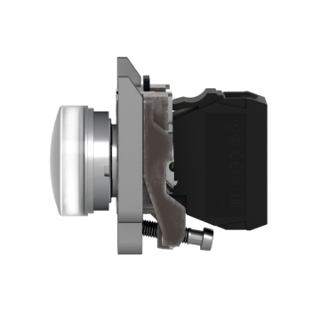 XB4BVB1 Product picture Schneider Electric