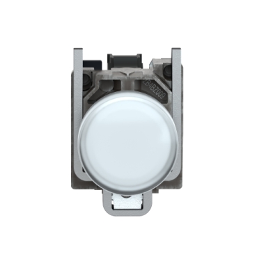 Image produit XB4BVG1 Schneider Electric