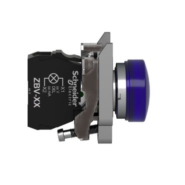 Afbeelding product XB4BVG6 Schneider Electric