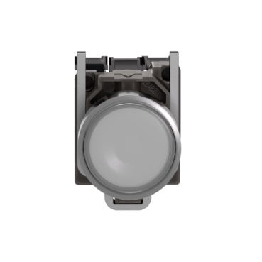 Afbeelding product XB4BW31B5 Schneider Electric