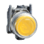 XB4BP51 Imagine produs Schneider Electric