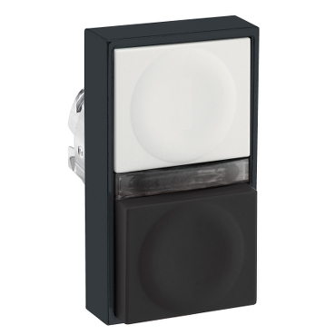 ZB4BW8317237 Schneider Electric 图片