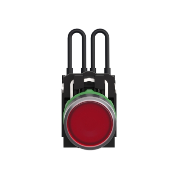 Afbeelding product XB5AW24B5 Schneider Electric