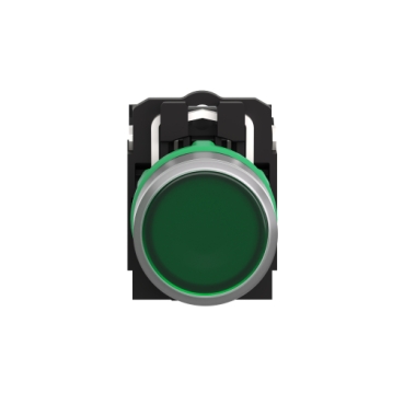 Afbeelding product XB5AW33B5C0 Schneider Electric