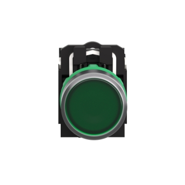 Afbeelding product XB5AW33B5 Schneider Electric