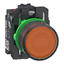 Schneider Electric XB5AW35B55 Picture