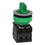 Slika izdelka XB5FK133G5C0 Schneider Electric