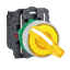 Schneider Electric XB5AK125G5C1 Picture