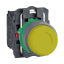 Schneider Electric Imagen del producto XB5AP51C0
