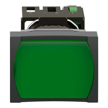 Image produit XB6DW3B1B Schneider Electric