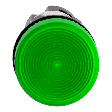 Afbeelding product XB7EV63P Schneider Electric