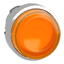 Schneider Electric ZB4BH53 Picture