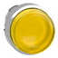 Afbeelding product ZB4BW183 Schneider Electric