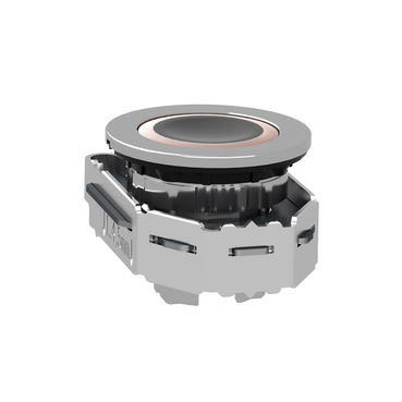 Image produit ZB4FW953 Schneider Electric