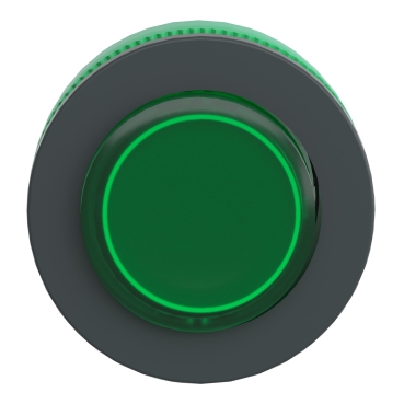Schneider Electric Imagen del producto ZB5FH33
