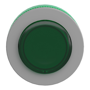 Immagine prodotto ZB5FW133C0 Schneider Electric