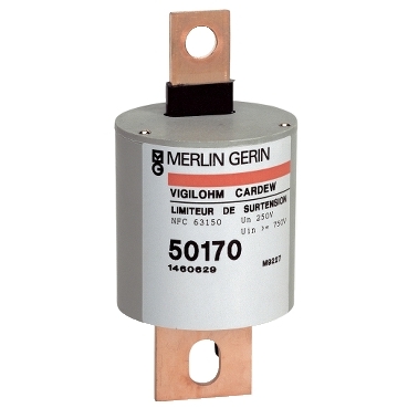 50183 50183 SURGE LIMITER CARDEW 1000V AC 