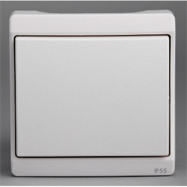 IP55 surface mounted and IP44 flush mounted wiring devices