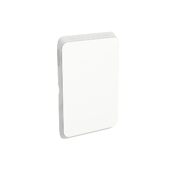 Clipsal Iconic Blank Switch Plate, Horizontal/Vertical Mount