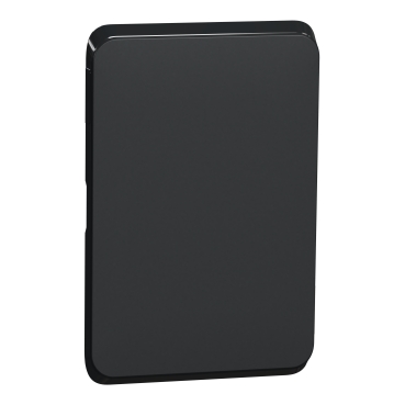 Skin Switch V/H Blank Plate XB