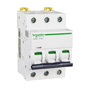 A9F17363 Schneider Electric 图片
