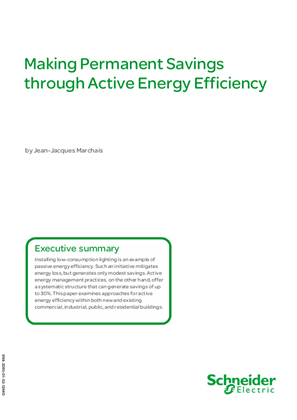 Making Permanent Savings through Active Energy Efficiency