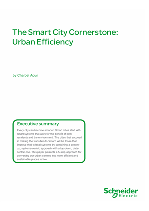 The Smart City Cornerstone: Urban Efficiency