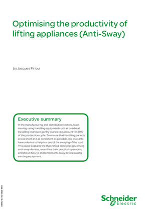Optimising the productivity of lifting appliances (Anti-Sway)