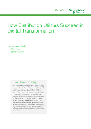 How Distribution Utilities Succeed in Digital Transformation