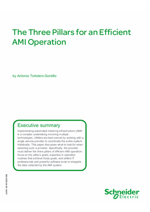 The Three Pillars for an Efficient AMI Operation