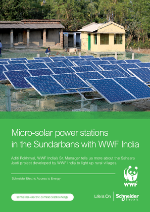 Access to Energy WWF Customer Testimony India