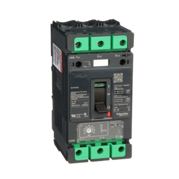 Schneider Electric BV4T002D Picture