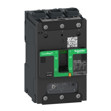 C11N3TM100LZ Schneider Electric 图片