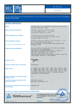 CB-Certificate-Compact-NSX100-250BFNHSL-micro-ELCB-4.2-7.2