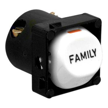 30 Series, Switch Mechanism, 10A, Marked FAMILY