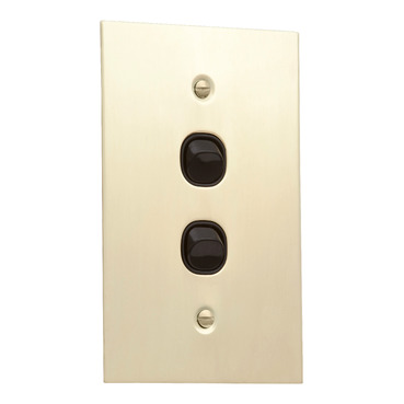 Metal Plate, Flush Switch, 2 Gang, 250VAC, 10A, Range, BBSL Style, Standard, Vert