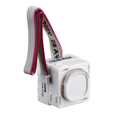 DALIControl, 30 Mechanism Slave Push Button Switch
