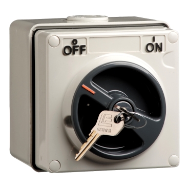 switch common key lock off