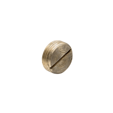 Clipsal - Cable Management, Series 1220S Brass Plugs, 20mm, Screwed Conduit, Brass Plug