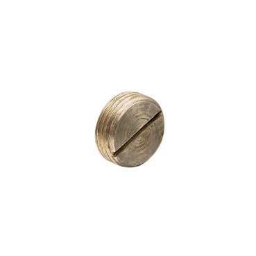 Clipsal - Cable Management, Screwed Conduit, 20mm, Brass Plug