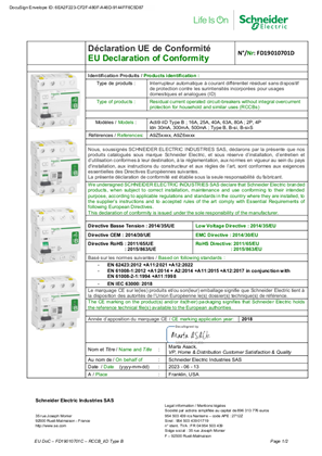EU DoC_FD19010701D_RCCB iID type B