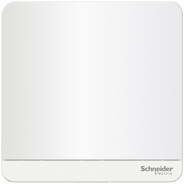 Aluminium Schneider Electric Eph5800161 Cadre 1 élément 