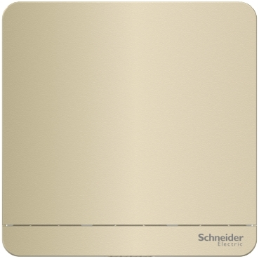 AvatarON Schneider Electric สวิตช์หลายสไตล์ ที่คุณเลือกได้ Changeable light switches just as you like