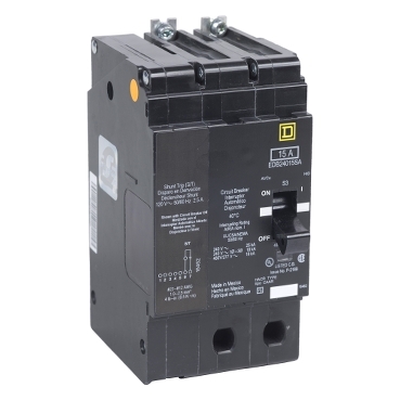 Schneider Electric EDB24100SA Picture