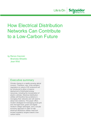 How Electrical Distribution Networks Can Contribute to a Low-Carbon Future